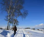 Winter im Bayerischen Wald
